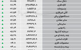 نبض شاخص
