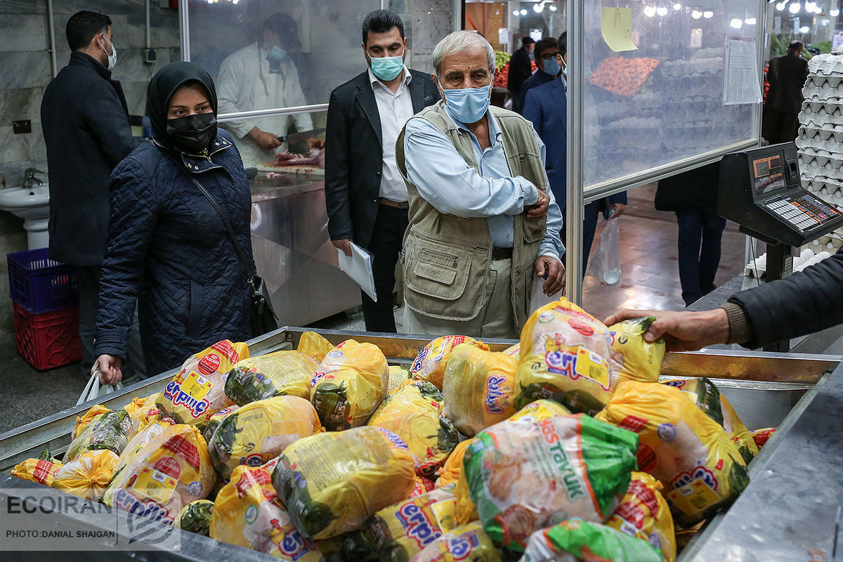 خبر جدید درباره بازار مرغ /افزایش قیمت مرغ در راه است؟ 