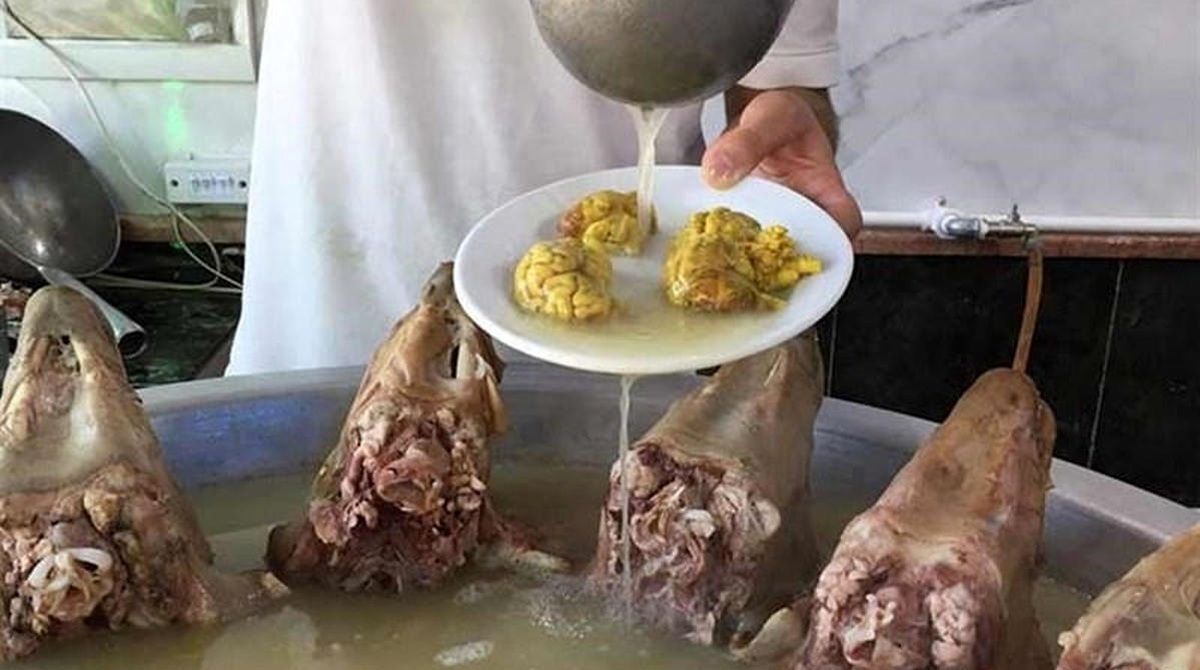 هرگز این قسمت های کله پاچه را نخورید!