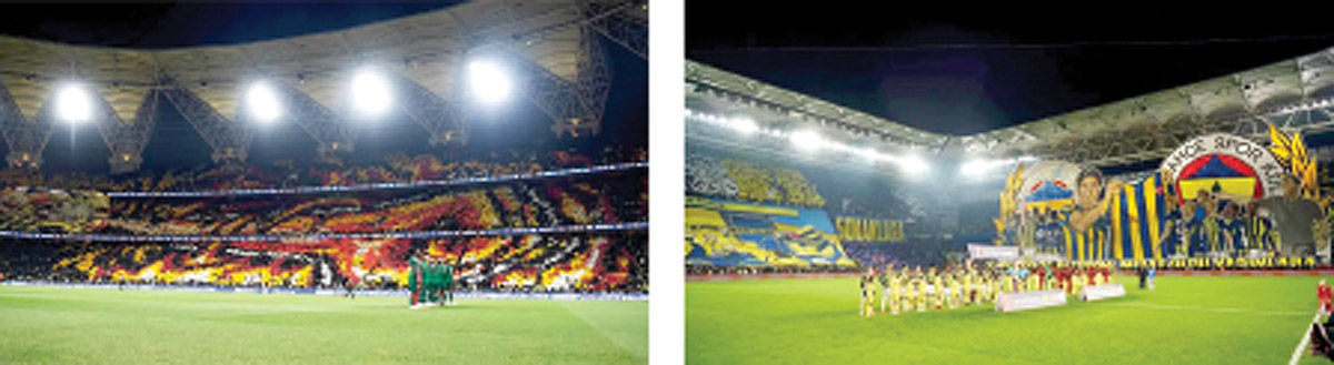 دشمنی  با  زیبایی