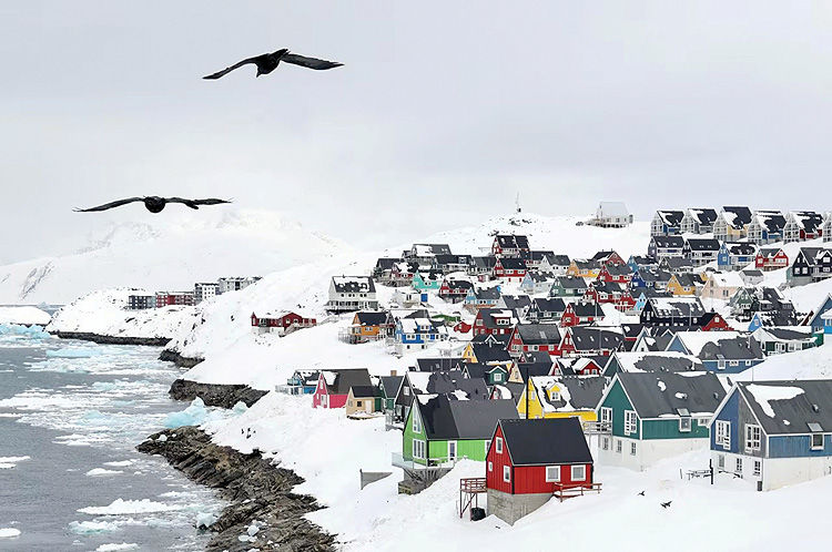 شوک در نوردیک