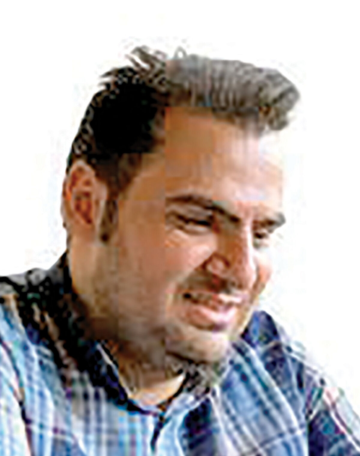 دار و دسته خاورمیانه‏‏‌ای‏‏‌ها