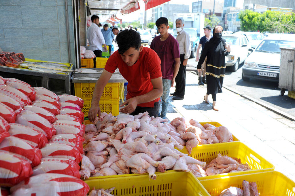 قیمت هر کیلوگرم مرغ در بازار چقدر شد؟
