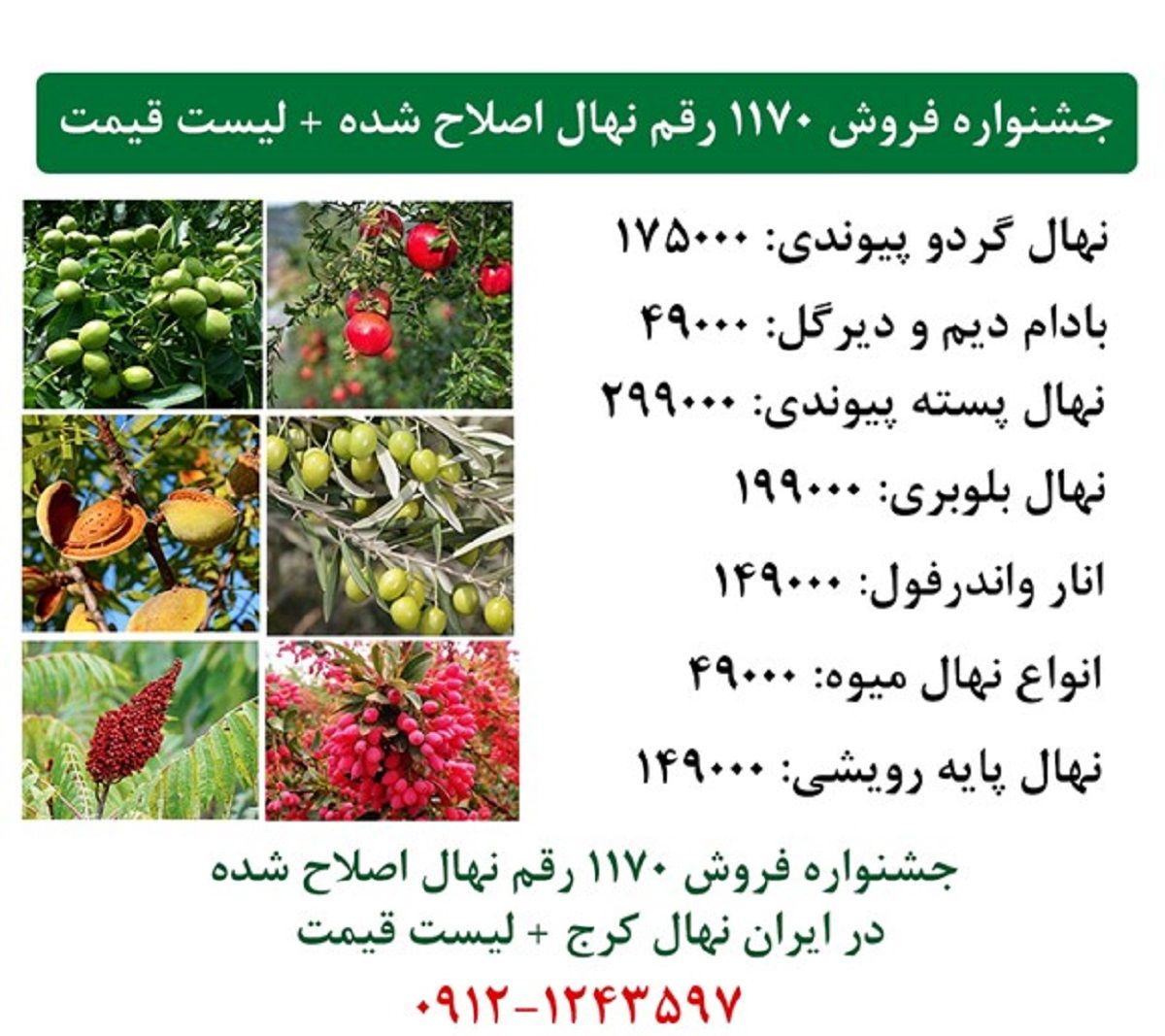 جشنواره فروش 1170 رقم نهال اصلاح شده در ایران نهال کرج + لیست قیمت