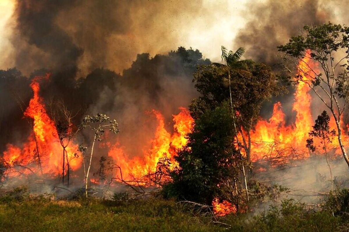 عامل آتش سوزی جنگل‌های خرم آباد شناسایی شد