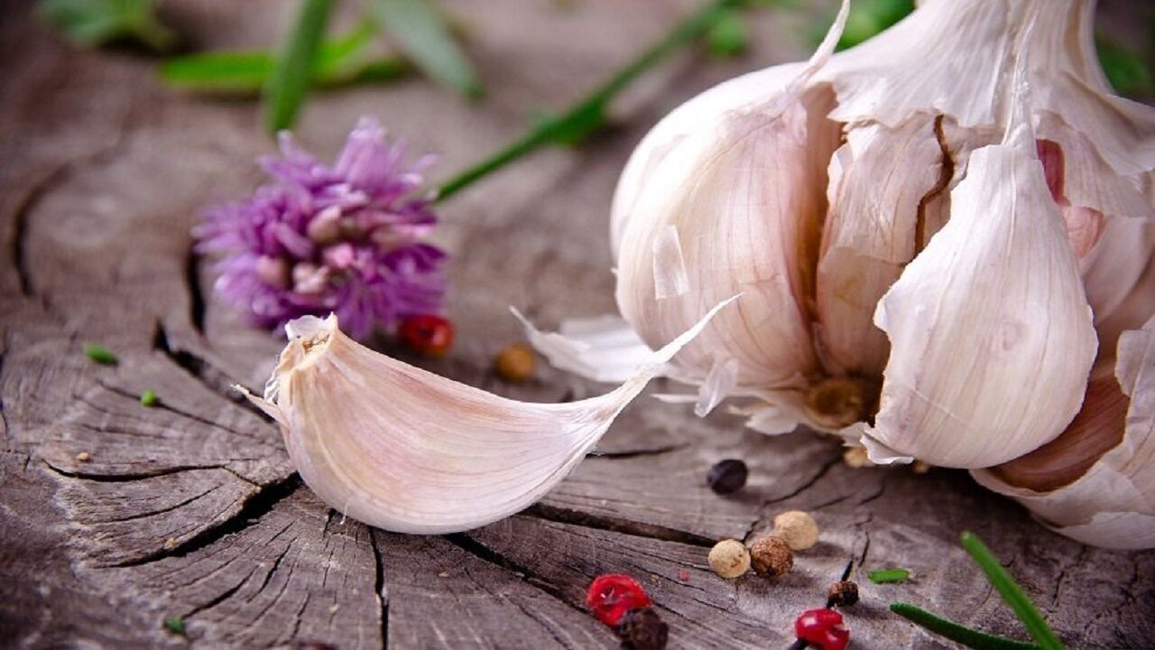 مصرف سیر برای این افراد ممنوع است!