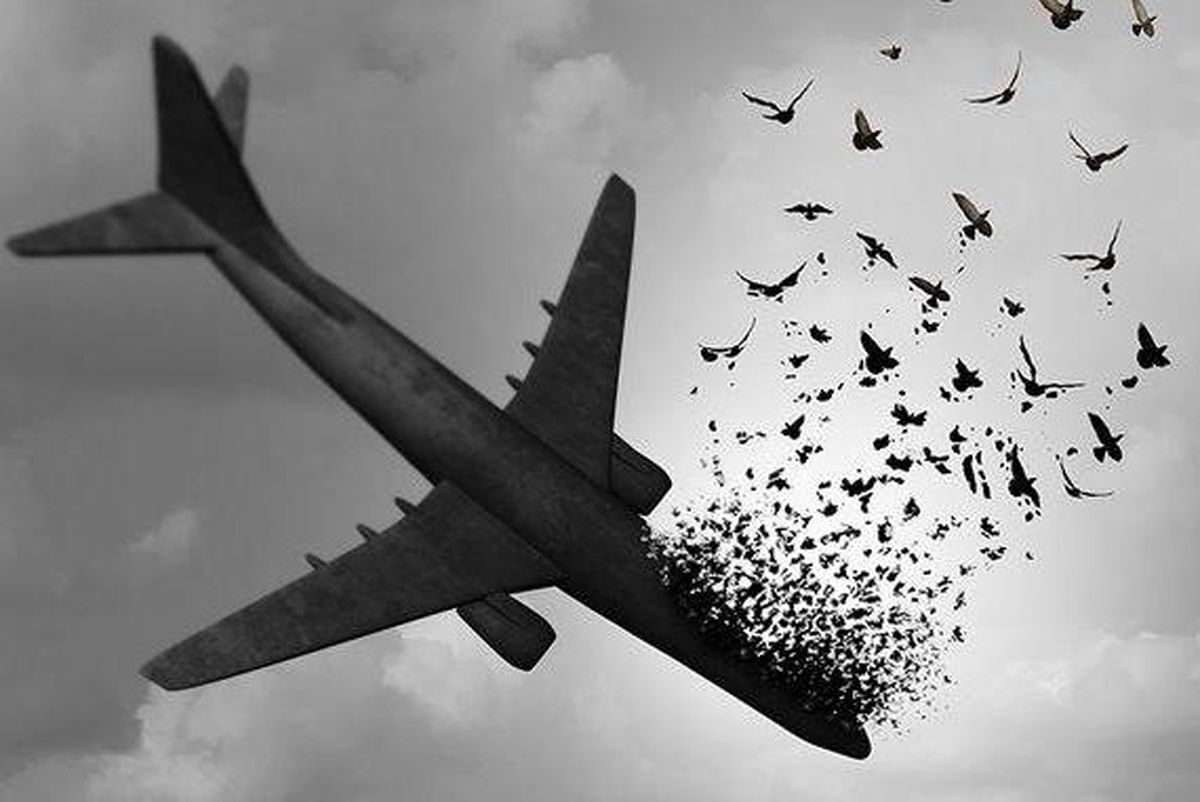 اولین عکس از عامل شلیک به هواپیمای اوکراینی