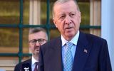دیدار اردوغان با پوتین و لوکاشنکو در حاشیه اجلاس شانگهای + عکس