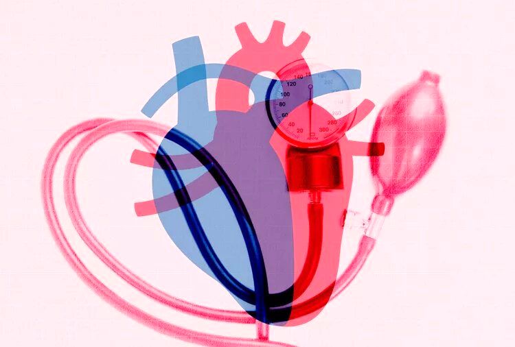 دو ویتامین مهمی که سکته قلبی را ضربه فنی می‌کند 2