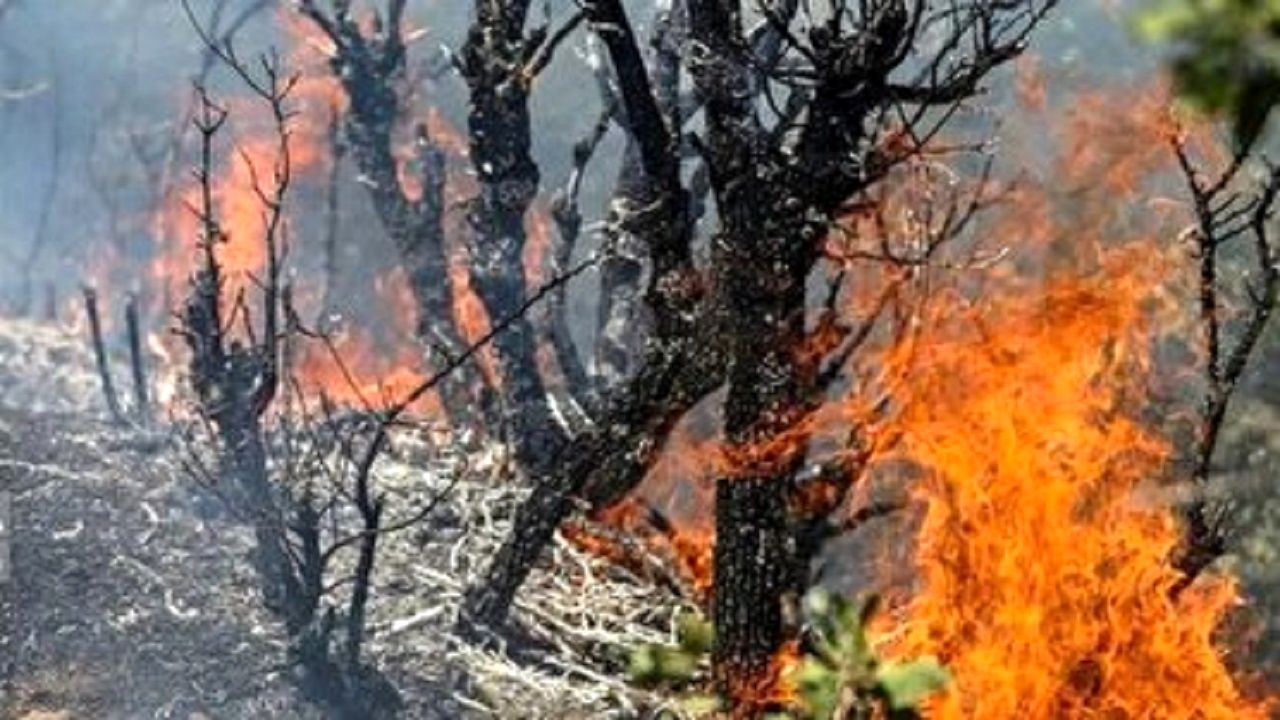 ممنوعیت ورود به عرصه‌های جنگلی در برخی شهر‌های شمالی / تا اولین باران به طبیعت نمی‌رویم