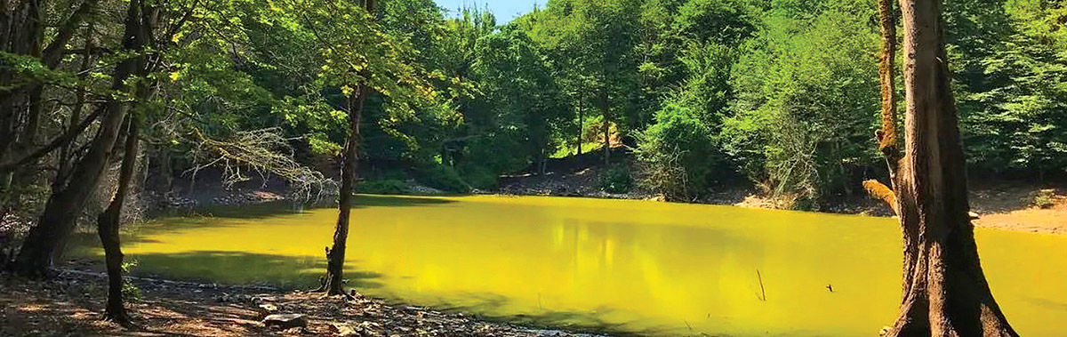 تور نجات از آلودگی