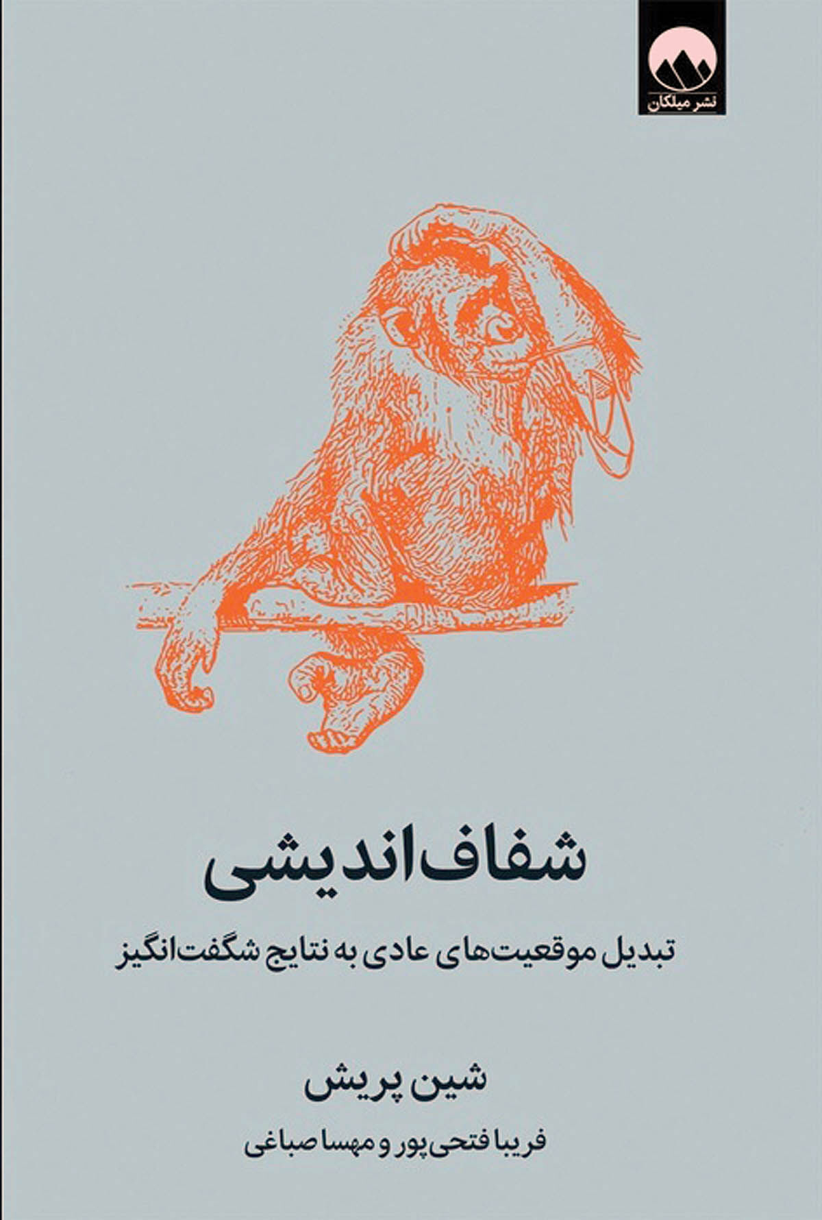 شفاف‌اندیشی: تبدیل موقعیت‌های عادی  به نتایج شگفت‌انگیز