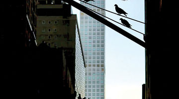 درس عبرت از معماری پلاک 432 نیویورک