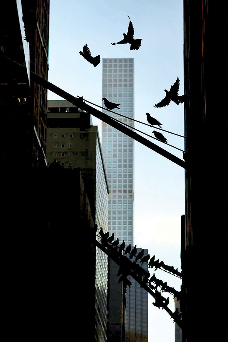 درس عبرت از معماری پلاک 432 نیویورک