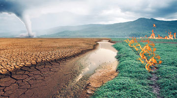 کارنامه طبیعت در ۲۰۲۵