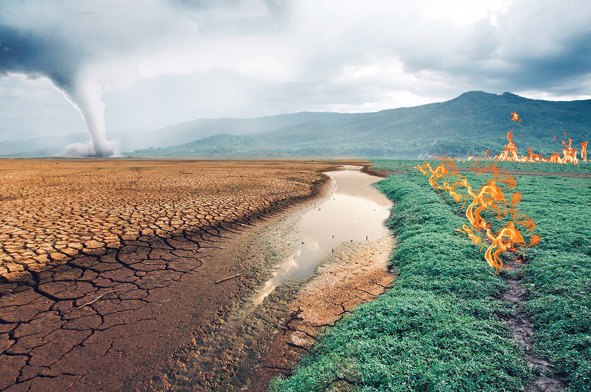 کارنامه طبیعت در ۲۰۲۵