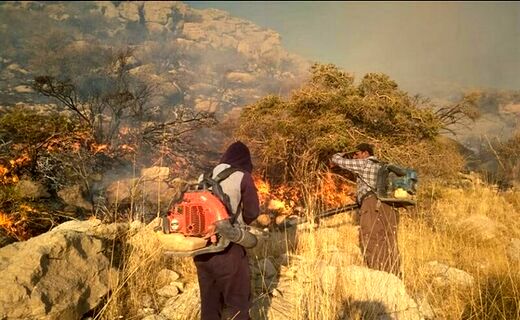 هشدار نسبت به احتمال آتش‌سوزی جنگل‌های این استان در روز طبیعت