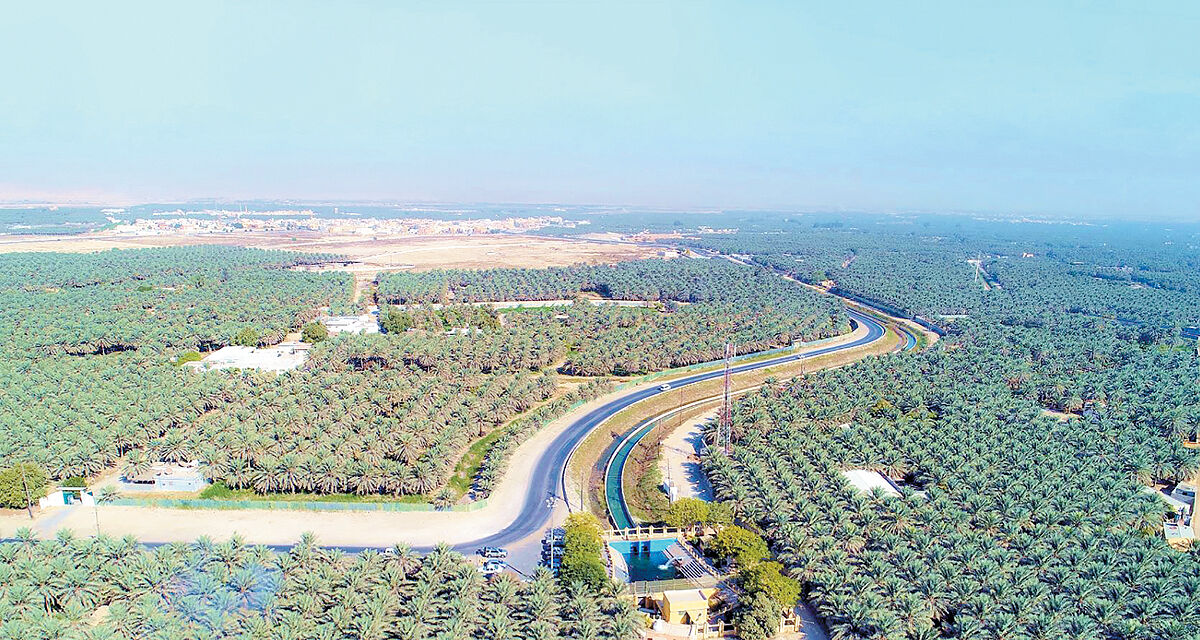 خاورمیانه سبز با نقشه عربستان
