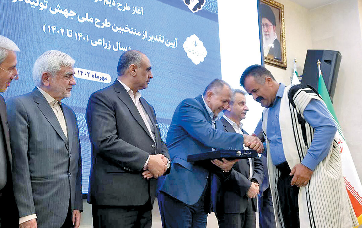 آغاز طرح جهش تولید در دیمزارها