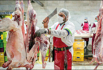 خبر مهم وزارت جهادکشاورزی درباره قیمت گوشت 