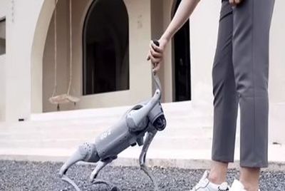 این ربات سگ خانگی عکس می‌گیرد و با شما صحبت می‌کند!
