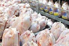 رشد تولید مرغ سرعت گرفت / ایران در آستانه ورود به بازارهای صادراتی