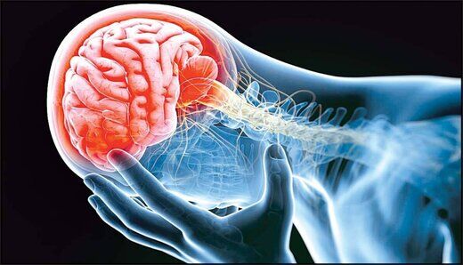 افزایش بالای خطر سکته مغزی با پشت میزنشینی