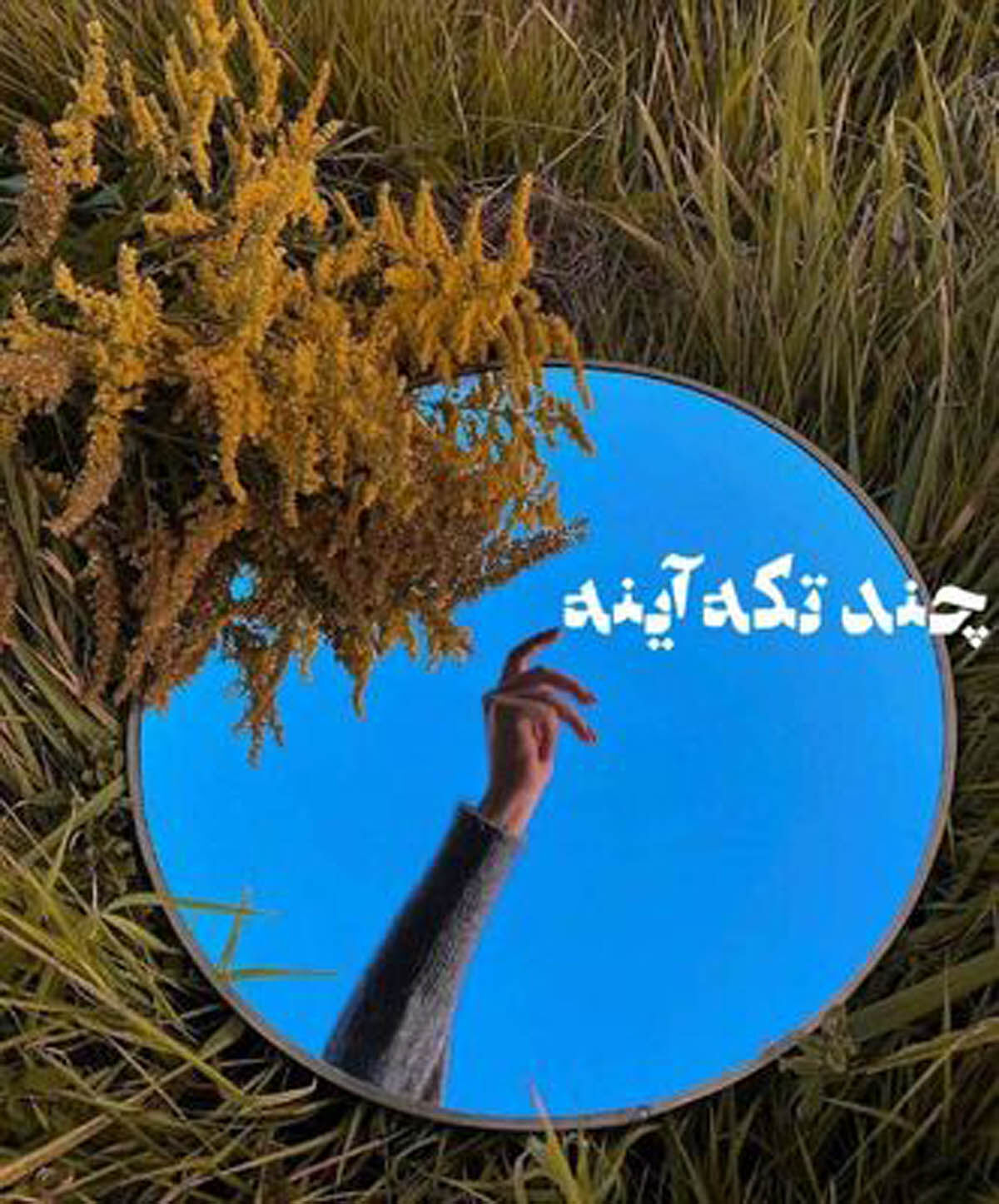 نمایشگاه آثار تجسمی سینماگران مطرح