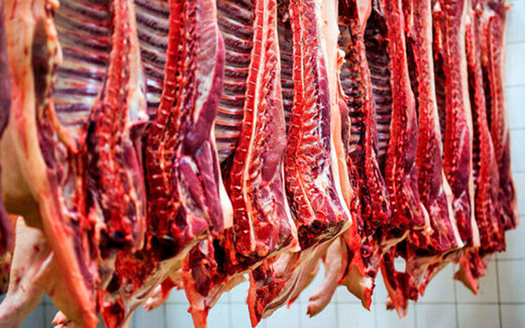 آخرین وضعیت واردات گوشت قرمز به کشور