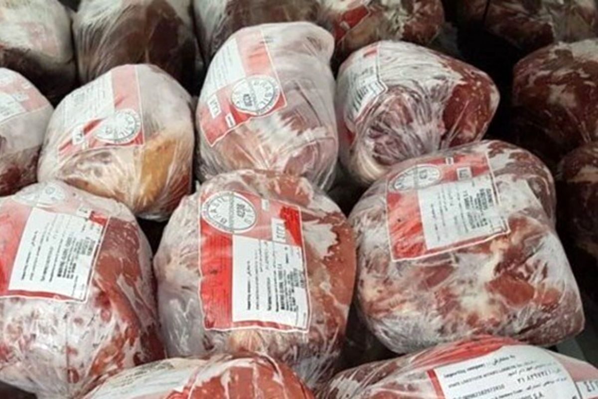 آخرین وضعیت واردات محصولات پروتئینی به کشور / چند کانتینر گوشت منجمد ترخیص شد؟