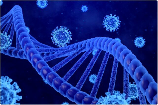 بررسی یک ژن تاثیرگذار در ابتلا به کووید-۱۹ شدید