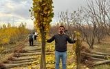  فروش 1 میلیون اصله نهال صنوبر یارانه ای فقط 10 هزارتومان-فرصت محدود!
