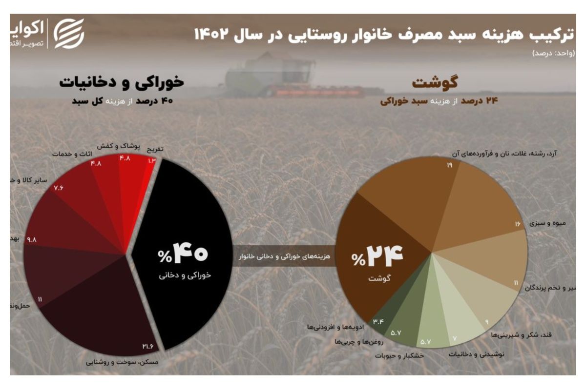 این کالاها بالاترین سهم را در هزینه‌های سالانه روستانشینان دارند