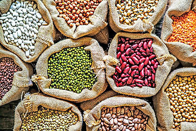 9 گام رونق صادرات موادغذایی