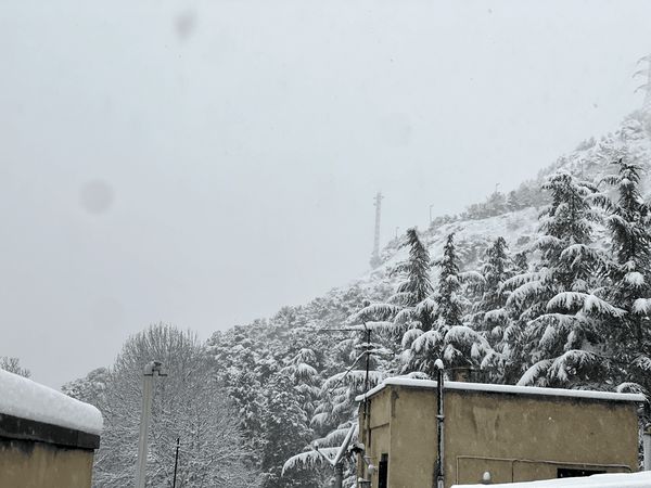 بارش شدید برف در تهران/ ارتفاع برف به 20 سانتیمتر رسید+ عکس