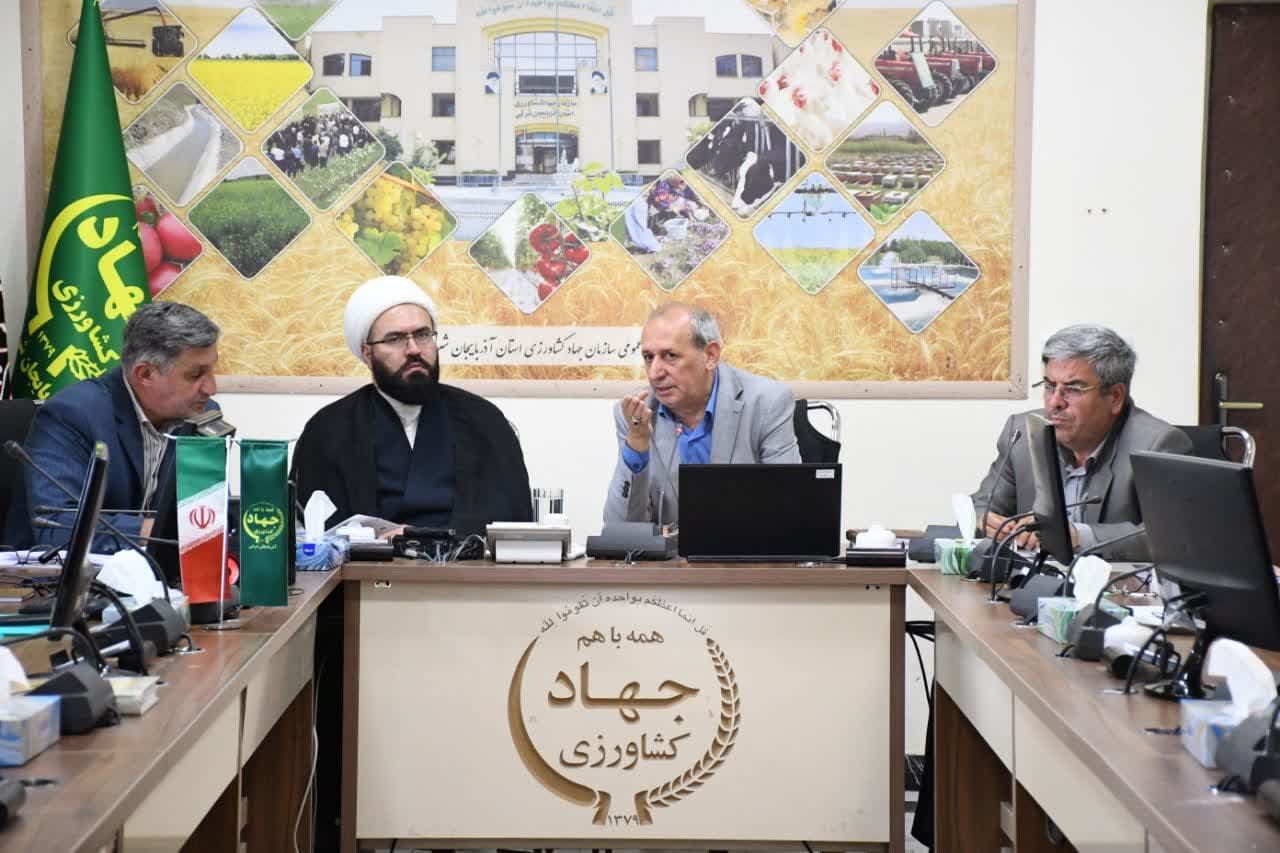 خرید گندم در آذربایجان شرقی از 270 هزار تن گذشت