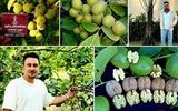 راز میلیاردر شدن با نهال گردوی۱۶تنی