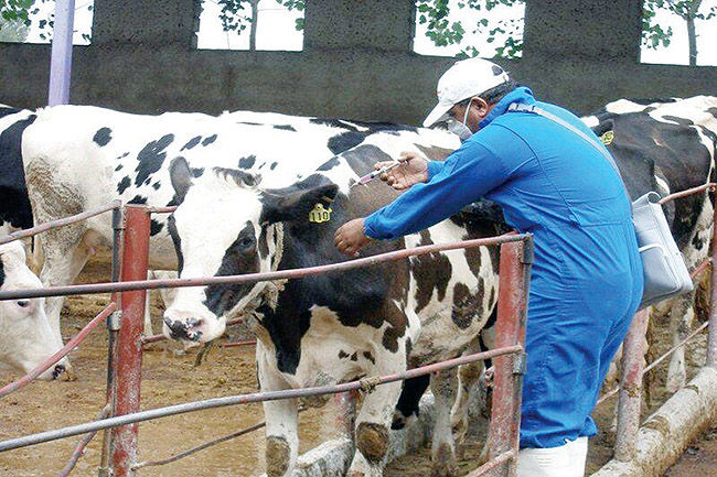 تب برفکی مهار شد