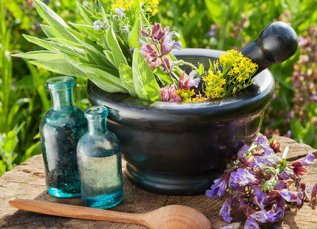 ۷ باور اشتباه درباره گیاهان دارویی و طب‌سنتی در همه‌گیری کرونا
