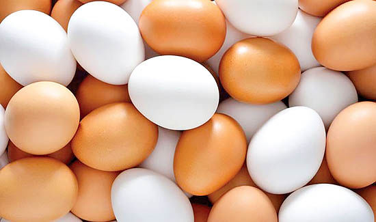 ریشه‌یابی اختلال در بازار تخم‌مرغ
