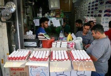 عرضه تخم‌ مرغ ۱۰ درصد زیر قیمت مصوب