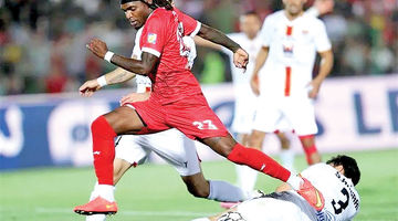 سرخ‌هـا در سرشاخ