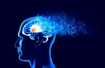 آلزایمر را با این تغذیه فیتیله پیچ کنید