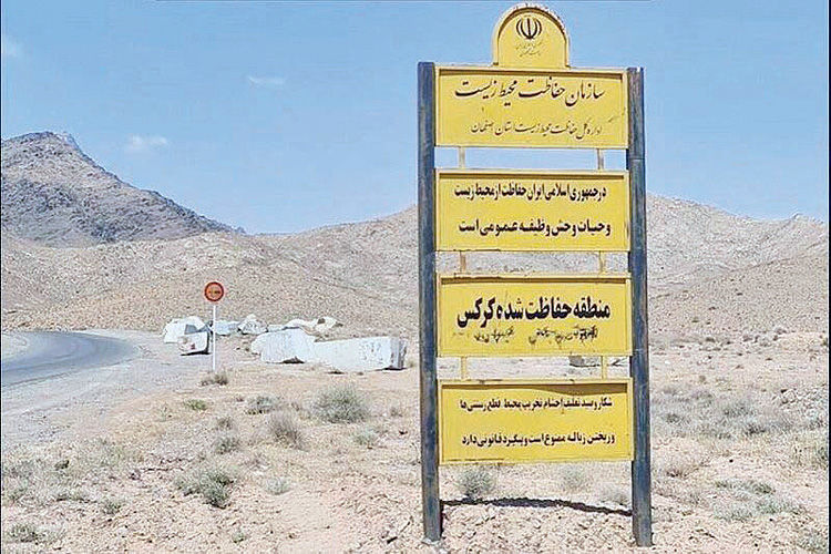 فعالیت معادن در کوه کرکس موجب تعارض بین انسان و حیات وحش شده است