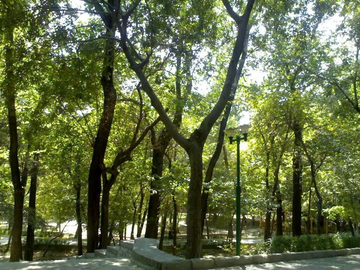 مکان ساخت مسجد در پارک قیطریه مشخص شد؟+جزئیات
