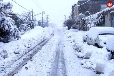 بارش شدید برف در بانه/ خودروها زیر برف دفن شدند!+ فیلم