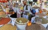 نبرد برای معیشت

