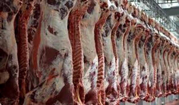 قیمت گوشت ۱۵۰ هزار تومان کاهش می‌یابد