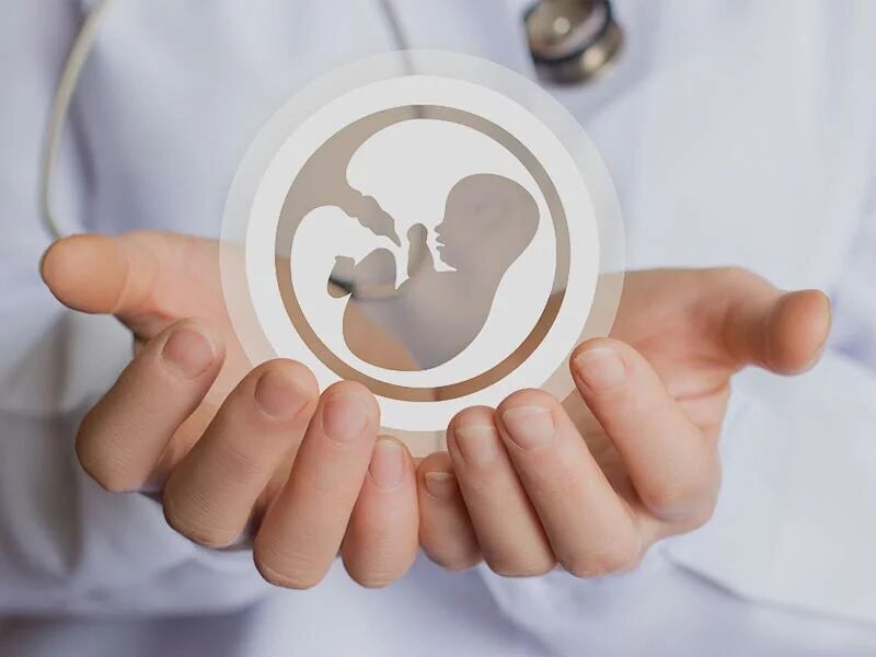 این تخمک های دوریختی شما را ثروتمند می کند
