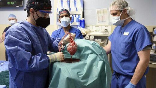 پیوند قلب خوک به انسان ناموفق بود/ مرگ بیمار پس از دو ماه +عکس